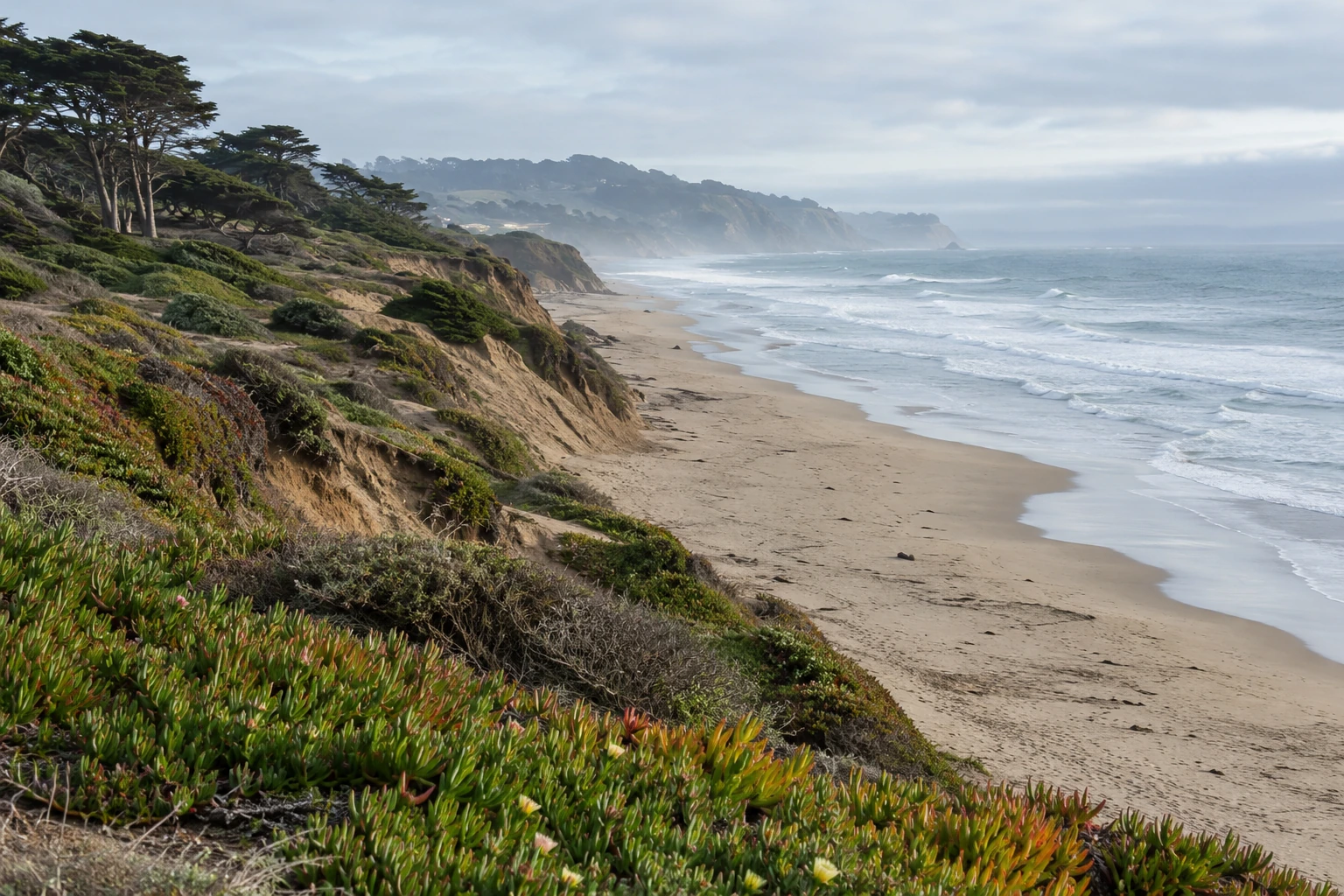 Coastal bluffs, ocean, and fog — an illustration of the Northern California setting